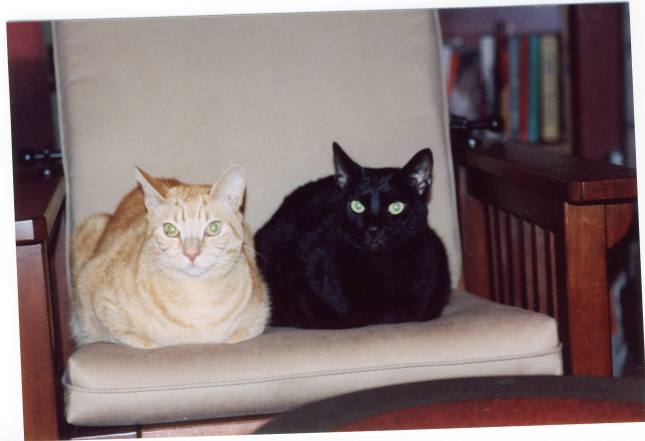 Pretending innocence