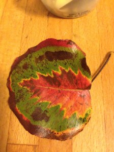 If a tree can artistically render another tree species in its leaf, I can write a blog post.
